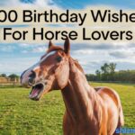 100 Birthday Wishes For Horse Lovers